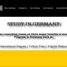 SI Consulting
